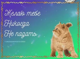 🌟 ba6fae73 Желаю тебе
Никогда
Не падать Katze, Wünsche, Positiv, Grüße, Telegramm, Kätzchen whatsapp sticker