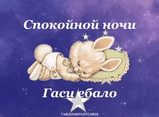 🌟 e19d283c Спокойной ночи
Гаси ебало Hase, Schlaf, Nacht, beleidigend, Russisch, Sterne, Cartoon whatsapp sticker