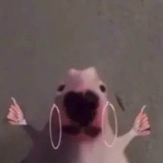 ☕️ @emojis4 @zauxsa telegram stickers