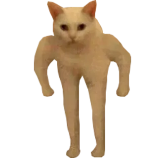 😡 884f5e51 кот, животное, белый кот, смешной, мем, стоящий кот whatsapp sticker