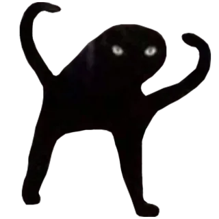 😡 8dcd6c98 кот, животное, черный кот, смешной, мем, танцы, темный whatsapp sticker