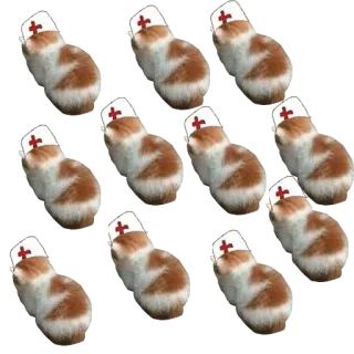 🤪 c22d56bb кот, медсестра, котенок, животное, питомец, врач, здоровье, милый whatsapp sticker