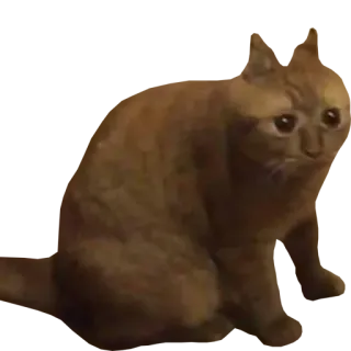 😐 d38ed8e3 кот, животное, милый, питомец, кошачий whatsapp sticker