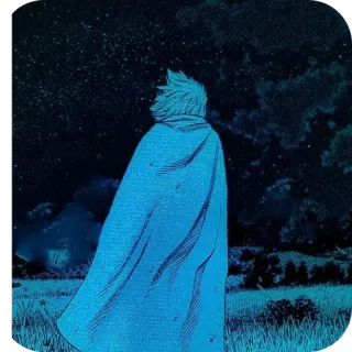 🌌 efac4220 mantello, notte, stelle, campo, nuvole, uomo, anime telegram sticker