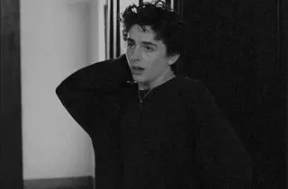 🕳 601c97e3 Timothée Chalamet attore, celebrità, ritratto, uomo telegram sticker