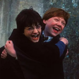 😀 1f69eb55 Harry Potter harry potter, ron weasley, friendship, laughter, movie, characters telegram sticker