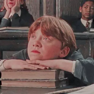🤩 4356a1f9 Ron Weasley Harry Potter Ron Weasley, Harry Potter, student, books, classroom telegram sticker