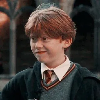 😀 56949918 Ron Weasley Harry Potter Ron Weasley, Harry Potter, wizard, friend, movie character, book character telegram sticker