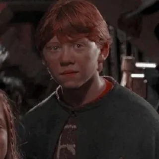 😀 fc73324a Ron Weasley Harry Potter Ron Weasley, Harry Potter, wizard, red hair, portrait, movie character telegram sticker