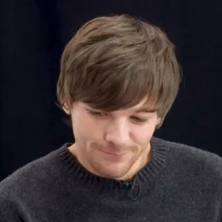 🥛 e65383fe Louis Tomlinson penyanyi, selebriti, potret, One Direction, pria telegram sticker