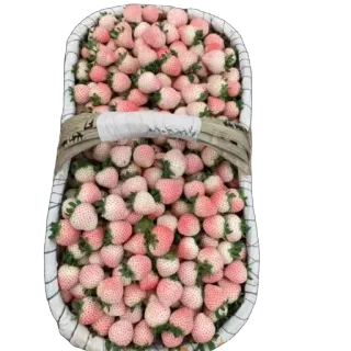 🫥 d64ab2f1 fresas, fruta, fresas blancas, bayas telegram sticker