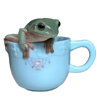 ❤️ 01f85cd1 лягушка, чашка, чайная чашка, животное, амфибия, милый whatsapp sticker