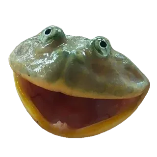 ❤️ 0a50676d лягушка, животное, природа, амфибия, дикая природа, зеленый whatsapp sticker