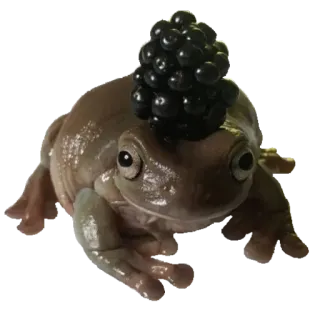 ❤️ 16df732f лягушка, ягоды, амфибия, животное, дикая природа, природа whatsapp sticker