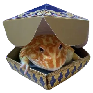 ❤️ 38b8629d Шоколадная лягушка, Гарри Поттер, Лягушка, Конфета, Сладкий, Лакомство whatsapp sticker