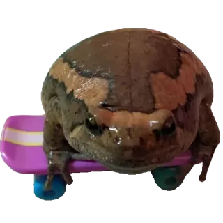 ❤️ 3ffc8e4b лягушка, скейтборд, амфибия, животное, милый, скейтинг whatsapp sticker