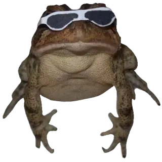 ❤️ 4db7fdea лягушка, жаба, солнцезащитные очки, животное, крутой whatsapp sticker