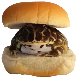 ❤️ 509f5cf6 лягушка, бургер, смешной, животное, еда, сэндвич whatsapp sticker