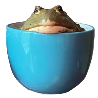 ❤️ 562ba2db лягушка, кружка, животное, милый, амфибия, природа, дикая природа whatsapp sticker