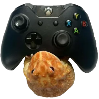 ❤️ 56ffa5be видеоигры, Xbox контроллер, лягушка, оранжевый, гейминг whatsapp sticker