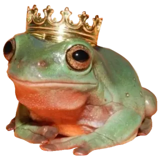 ❤️ 5bc9fca1 лягушка, король, корона, животное, амфибия, королевский whatsapp sticker