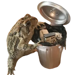 ❤️ 5f6b40a9 лягушка, мусор, отходы, мусорный бак, животное, жаба, отходы, переработка whatsapp sticker