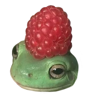 ❤️ 70c2df92 лягушка, малина, животное, милый, природа, еда whatsapp sticker