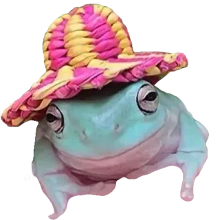 ❤️ 732e2d8c лягушка, шляпа, животное, милый, наклейка, смешной whatsapp sticker