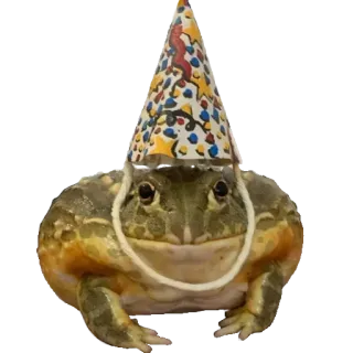 ❤️ 79353f9a лягушка, вечеринка, шляпа, животное, амфибия, праздник, смешной whatsapp sticker