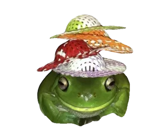 ❤️ 9673eede лягушка, шляпы, животное, милый, смешной, зеленый whatsapp sticker