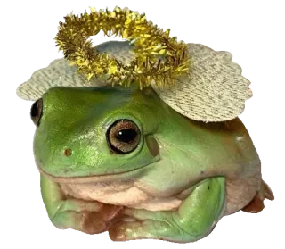 ❤️ 96f757cc лягушка, ангел, ореол, милый, животное, зеленый whatsapp sticker