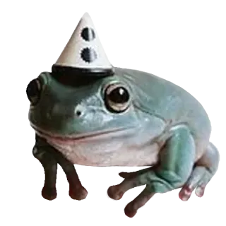 ❤️ a8693a2d лягушка, вечеринка, шляпа, животное, праздник whatsapp sticker