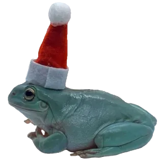 ❤️ aaf3e914 лягушка, рождество, шапка Санты, животное, милый whatsapp sticker