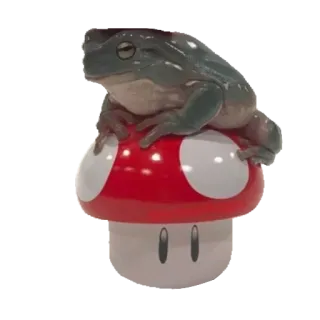 ❤️ b41911eb лягушка, гриб, природа, животное, амфибия whatsapp sticker