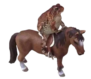 ❤️ b5caadd3 лягушка, лошадь, животное, жаба, смешно, мем, юмор whatsapp sticker