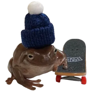 ❤️ bda5d961 лягушка, скейтборд, Tech Deck, миниатюра, шапка, животное, игрушка whatsapp sticker