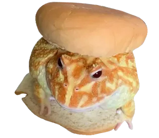 ❤️ c5f2a789 лягушка, бургер, амфибия, еда, сэндвич, животное, смешной whatsapp sticker