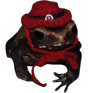 ❤️ c8b1f438 лягушка, жаба, шляпа, животное, красный, милый, амфибия whatsapp sticker