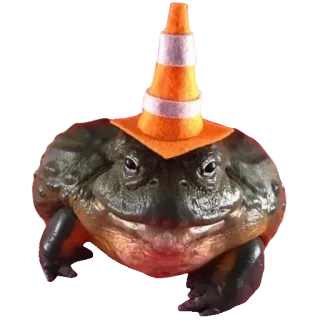 ❤️ e32d698e лягушка, дорожный конус, животное, юмор, мем whatsapp sticker