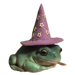 ❤️ eda4a491 лягушка, шляпа, волшебник, животное, милый whatsapp sticker