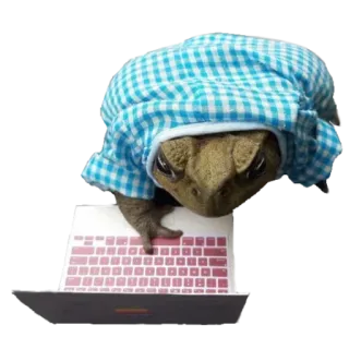 ❤️ f93a50f5 лягушка, ноутбук, компьютер, животное, милый, жаба, смешной whatsapp sticker