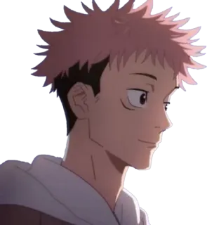 🙂 c8111e30 Yuji Itadori Jujutsu Kaisen 动漫, 咒术回战, 虎杖悠仁, 少年, 粉色头发, 角色 whatsapp sticker