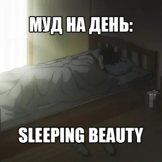 😴 5034ac6e МУД НА ДЕНЬ:
SLEEPING BEAUTY letto, dormire, umore, meme, testo, bellezza telegram sticker