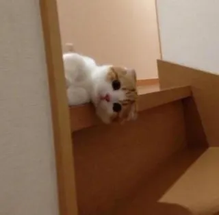 anjing @losemuakontol telegram stickers