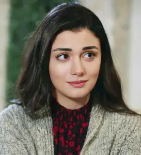 🍇 036315bd telegram sticker