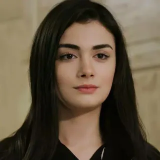 🍇 425a62f6 ผู้หญิง, ภาพเหมือน, ผมสีน้ำตาลเข้ม, ความงาม, คน telegram sticker