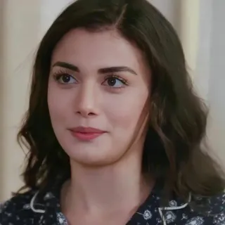 🍇 5c1da24c telegram sticker