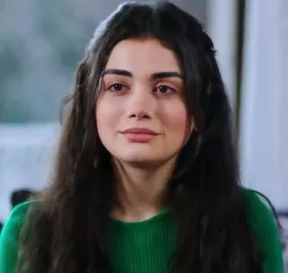 🍇 6b3ea35b ผู้หญิง, ภาพเหมือน, ผมสีน้ำตาล, เสื้อสีเขียว, ผู้หญิง telegram sticker