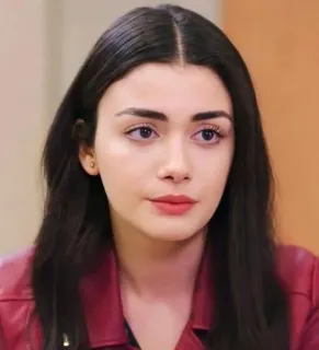 🍇 8d661ceb telegram sticker