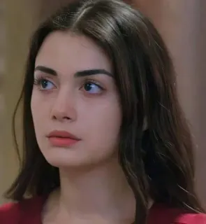 🍇 a605b944 telegram sticker